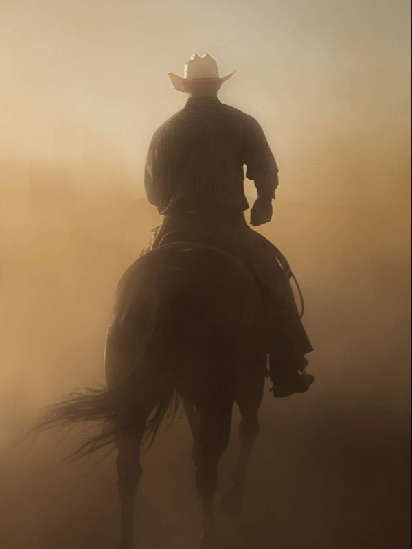 Yellowstone: Wind in the Smoke