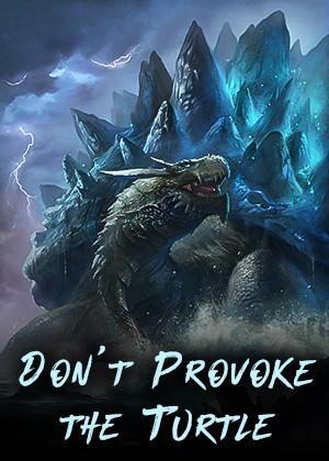 Don't Provoke the Turtle