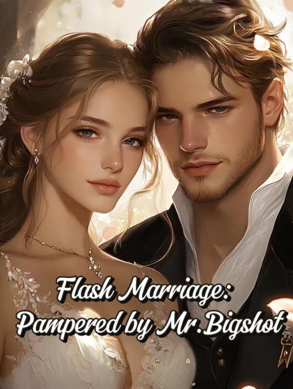 Flash Marriage: Pampered by Mr.Bigshot