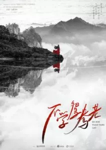 MTL - Don’t Learn Mandarin Ducks