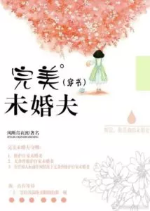 MTL - Perfect Fiancé