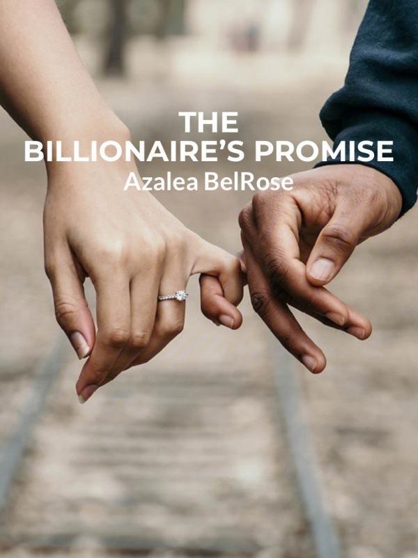 The Billionaire's Promise