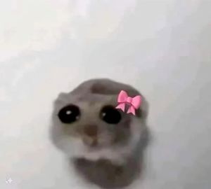 Juju